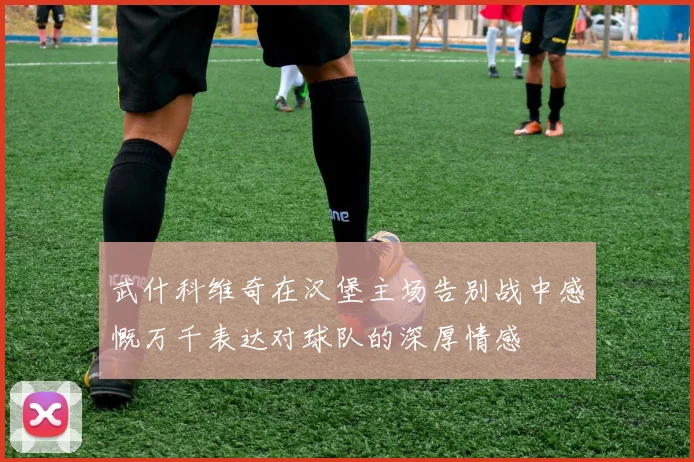 武什科维奇在汉堡主场告别战中感慨万千表达对球队的深厚情感