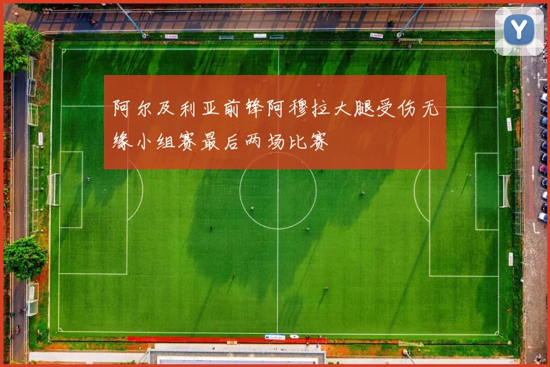 阿尔及利亚前锋阿穆拉大腿受伤无缘小组赛最后两场比赛