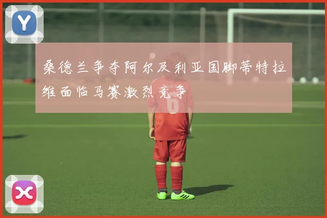桑德兰争夺阿尔及利亚国脚蒂特拉维面临马赛激烈竞争